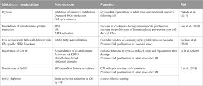 Effects and mechanisms of the myocardial microenvironment on cardiomyocyte proliferation and regeneration